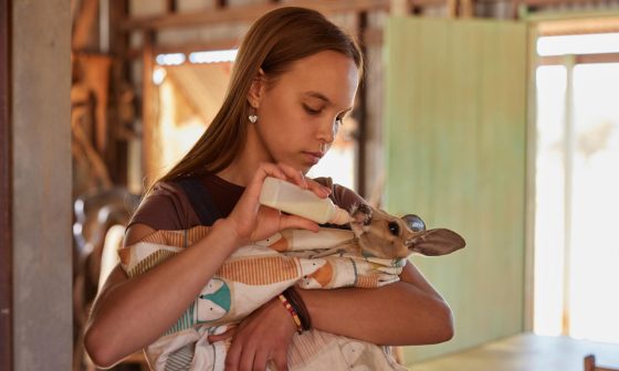 Lilly und die Kängurus eine wahre Geschichte