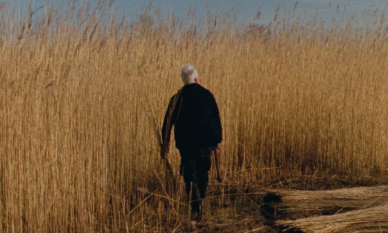 Rietland Krimi, Thriller und psychologisches Drama