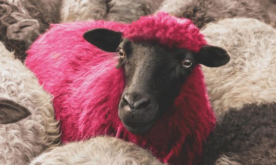 DJ Ahmet Sound der Rebellion